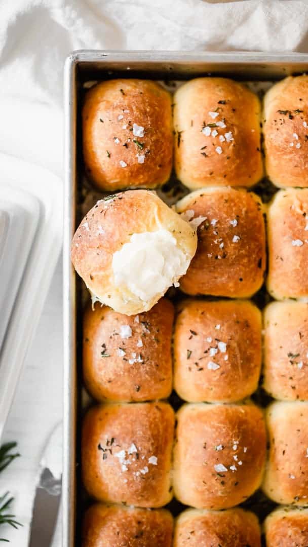 Rosemary Parker House Dinner Rolls Studio Baked